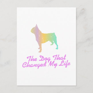 Boston Terrier Postcard
