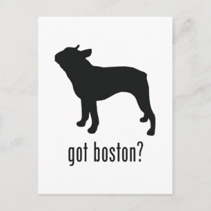 Boston Terrier Postcard