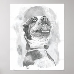 Boston Terrier Poster