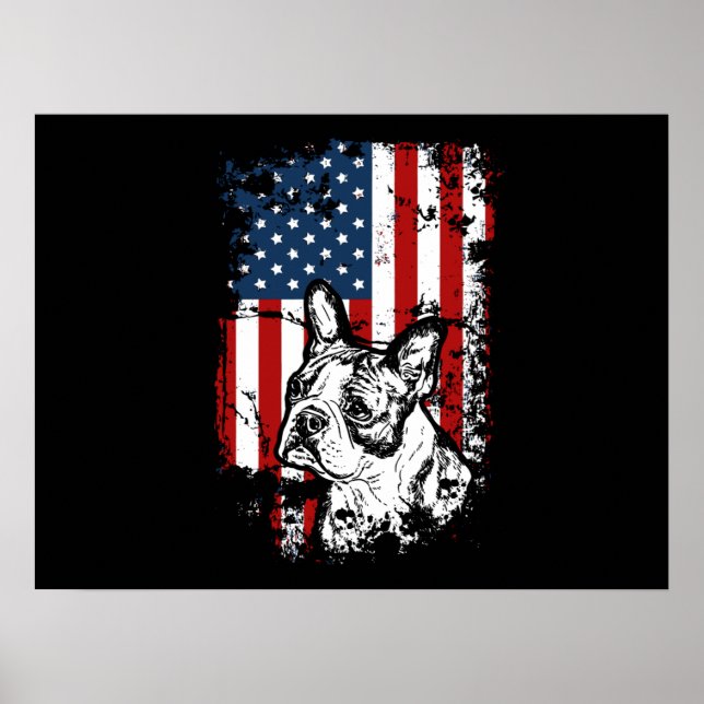 Boston terrier poster (Front)