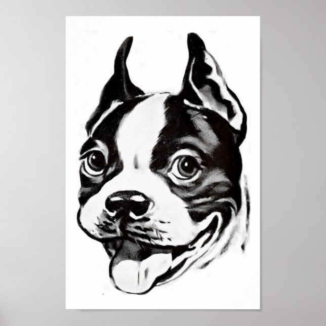 Boston Terrier Poster (Front)