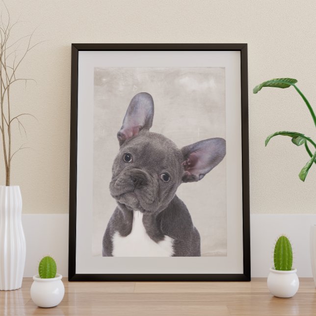 Boston Terrier Poster (Creator Uploaded)