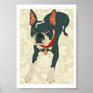 Boston Terrier Print
