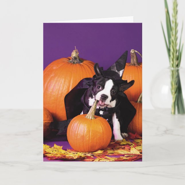 Boston terrier pumpkin Halloween customizable card (Front)