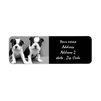 Boston Terrier Puppies Address Labels