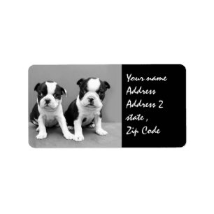 Boston Terrier Puppies expédition étiquette