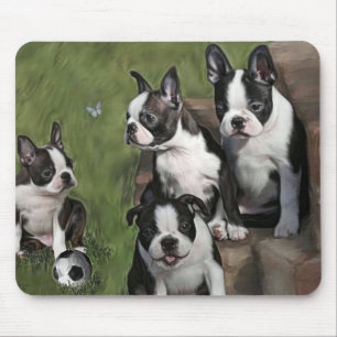 Boston Terrier Puppies Mouse Pad