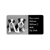 Boston Terrier Puppies shipping label