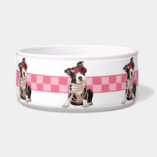 Boston Terrier Puppy