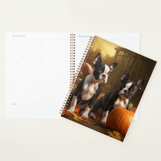 Boston Terrier Puppy Automne Citrouille de plaisir (Devant avec enveloppe)