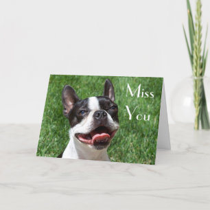 Boston Terrier Puppy Dog Miss You Greeting Card