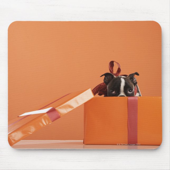 Boston terrier puppy in gift box mouse pad (Front)