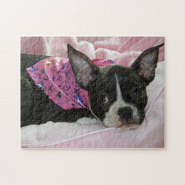 Boston Terrier Puppy Jigsaw Puzzle (Horizontal)