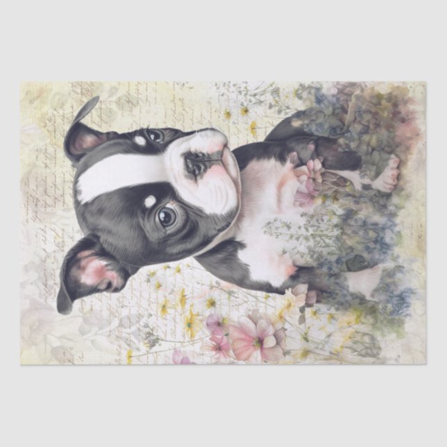 Boston Terrier Puppy Watercolor Tissue Paper (Front)