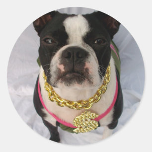 Boston Terrier Rapper Classic Round Sticker