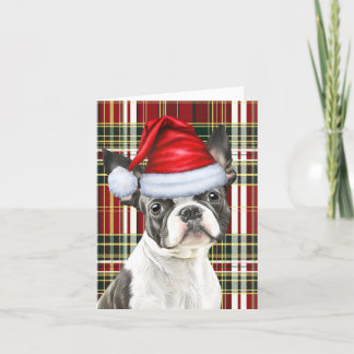 Boston Terrier Red Green Seasonal Plaid Christmas Holiday Card