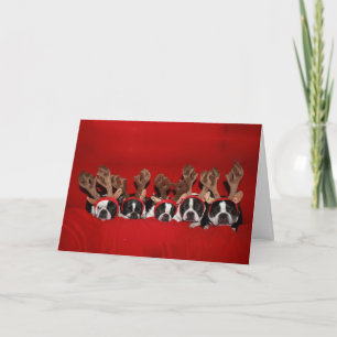 Boston Terrier Reindeer Christmas Card
