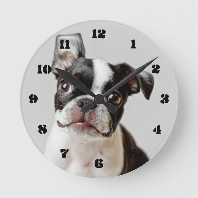 Boston Terrier Round Clock (Front)