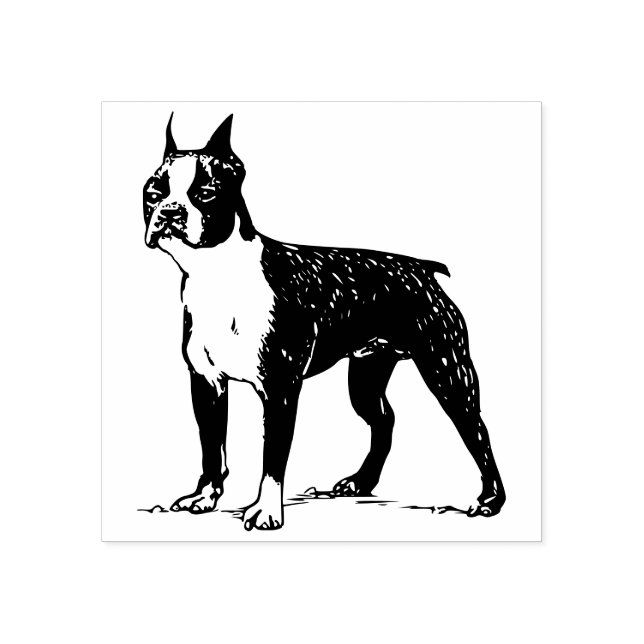 Boston terrier rubber stamp (Imprint)