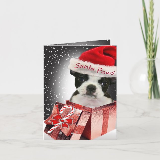 Boston Terrier Santa Paws Cards (Front)