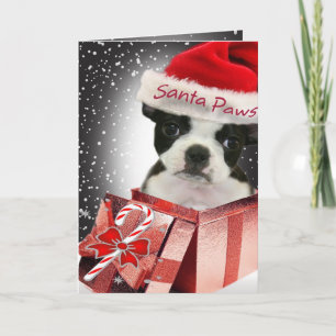 Boston Terrier Santa Paws Cards