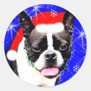 Boston Terrier Santa Sticker