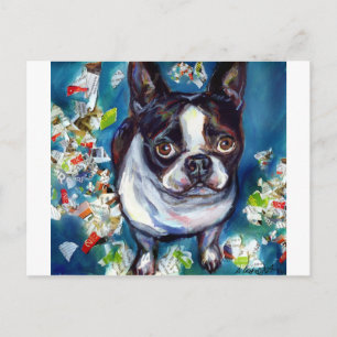 Boston Terrier Shredder mischief Postcard