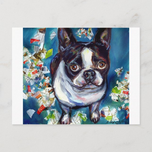 Boston Terrier Shredder mischief Postcard (Front)