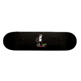 Boston terrier. skateboard