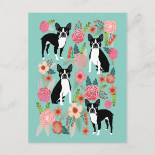 Boston Terrier Spring -cute boston terrier Postcard