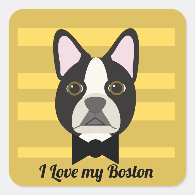 Boston Terrier Square Sticker (Front)