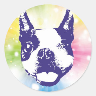 Boston Terrier Sunburst Classic Round Sticker
