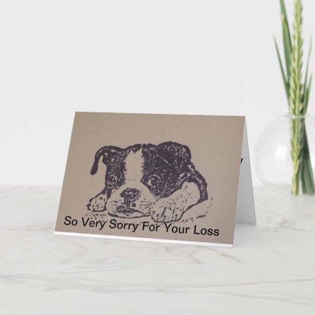 Boston Terrier Sympathy Card (Front)