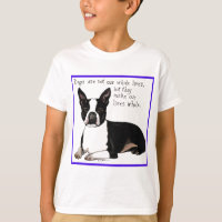 Boston Terrier