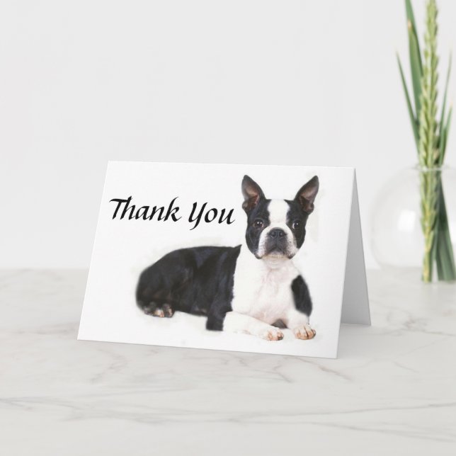 Boston Terrier Thank You Card (Front)