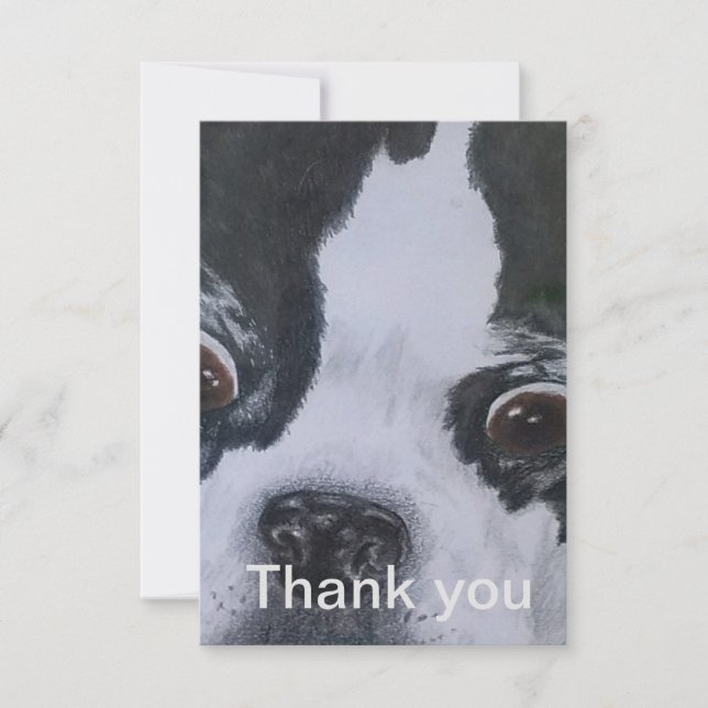 Boston Terrier Thank You Cards (Front)
