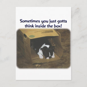 Boston Terrier:  Think Inside the Box Postcard