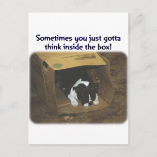 Boston Terrier:  Think Inside the Box Postcard