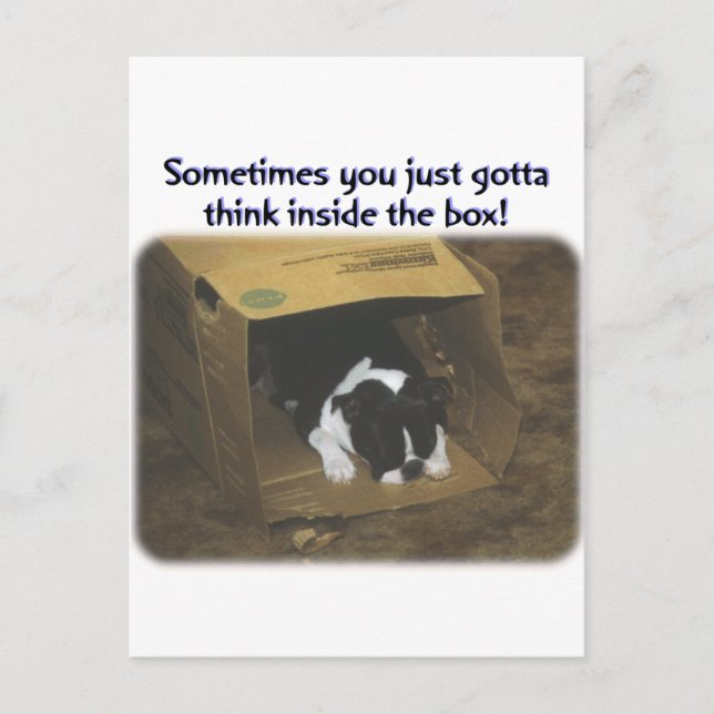 Boston Terrier:  Think Inside the Box Postcard (Front)