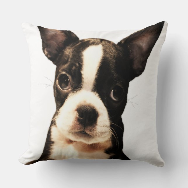BoSTON TERRiER Throw Pillow (Front)