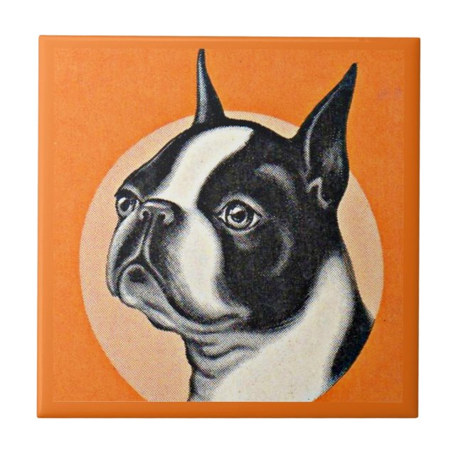 Boston terrier tile (Front)