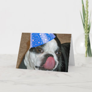 Boston Terrier Tongue Joyeuse carte d'anniversaire