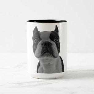 Boston terrier Two-Tone coffee mug
