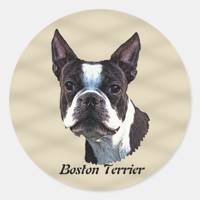 Boston Terrier v3 Classic Round Sticker (Front)