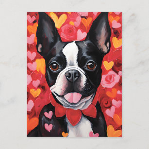Boston Terrier Valentines day Postcard