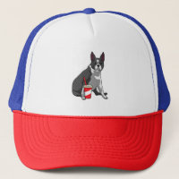 Boston Terrier with Drink