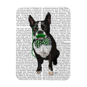 Boston Terrier With Green Moustache And Spotty Magnet