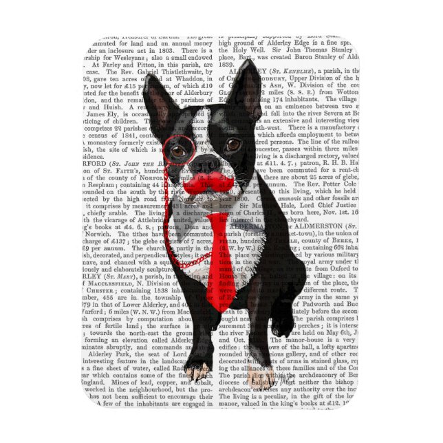 Boston Terrier With Red Tie and Moustache 2 Magnet (Vertical)