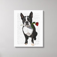 Boston Terrier with Rose in Mouth