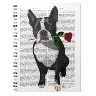 Boston Terrier with Rose in Mouth Notebook